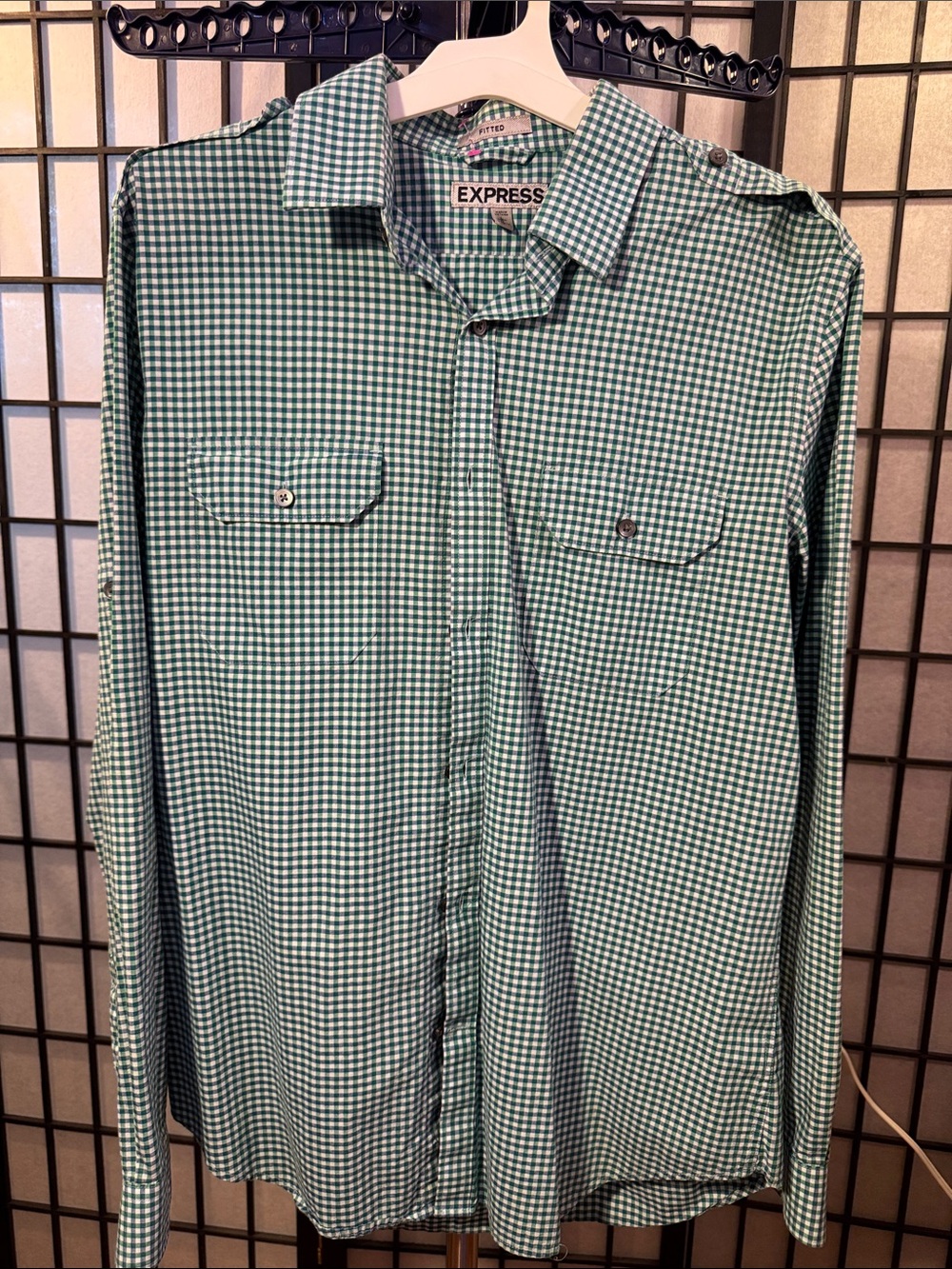 Express Men's Green Gingham Button-Down Shirt